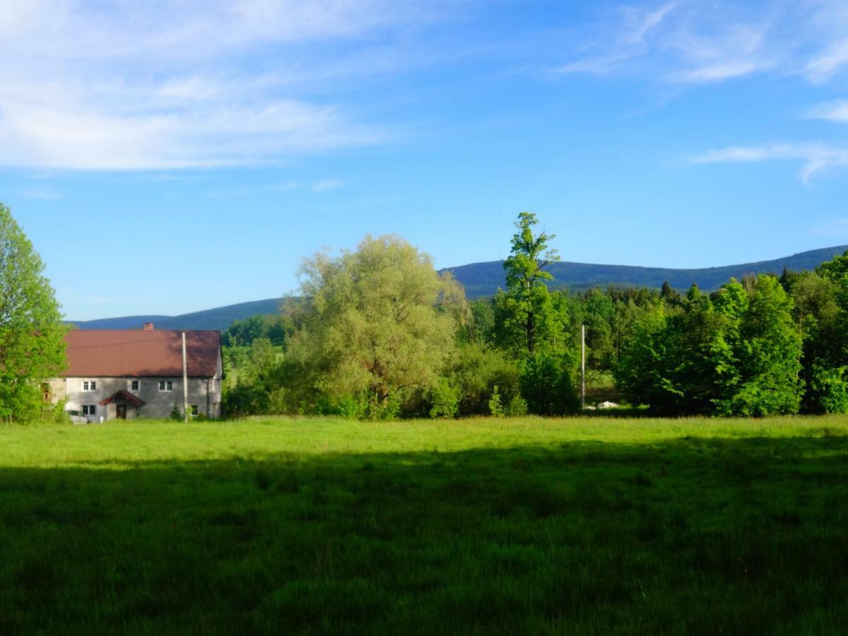 Pokoje Goscinne Przy Lesie Pobiedna Exterior foto