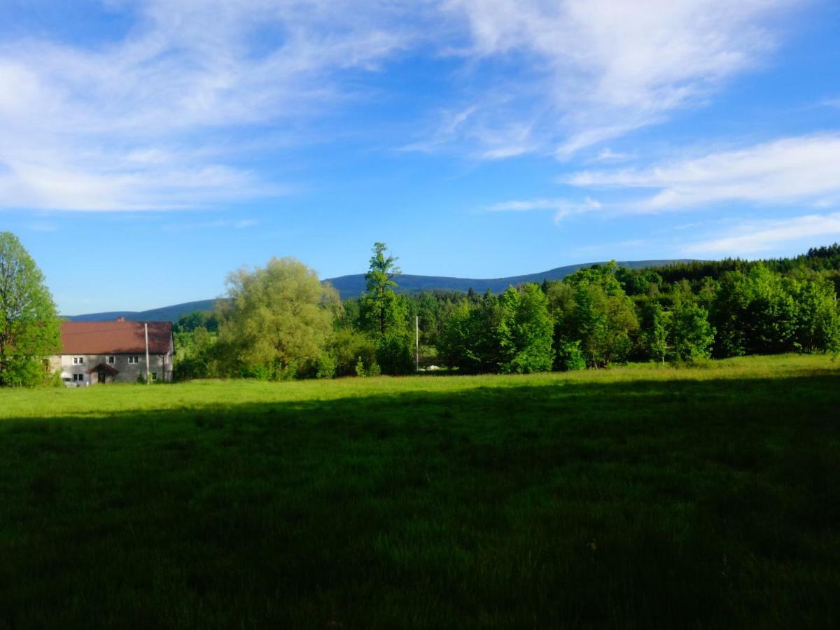 Pokoje Goscinne Przy Lesie Pobiedna Exterior foto