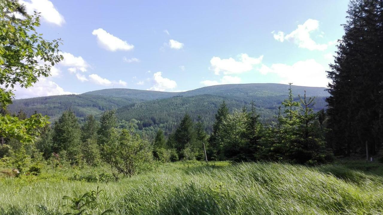 Pokoje Goscinne Przy Lesie Pobiedna Exterior foto